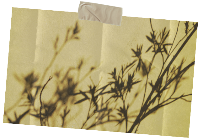 savoir-faire artisanal bijoux maïgo